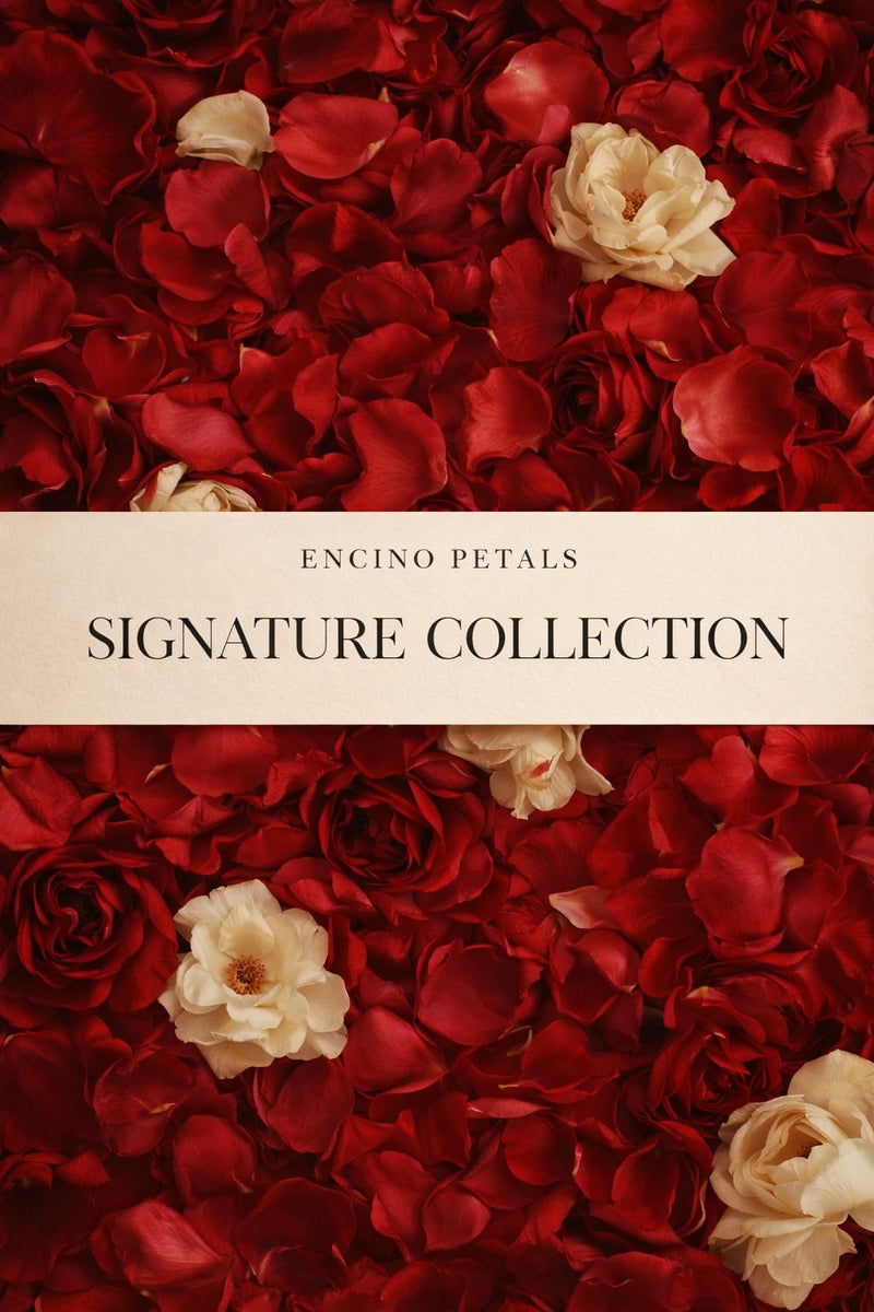 The Signature Collection
