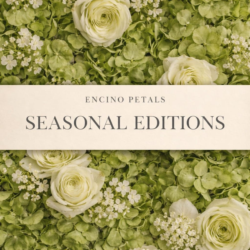 Seasonal Editions